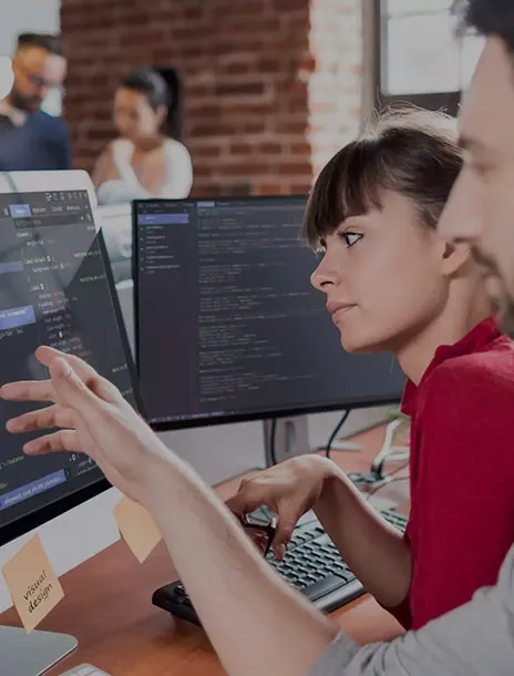 Software Development